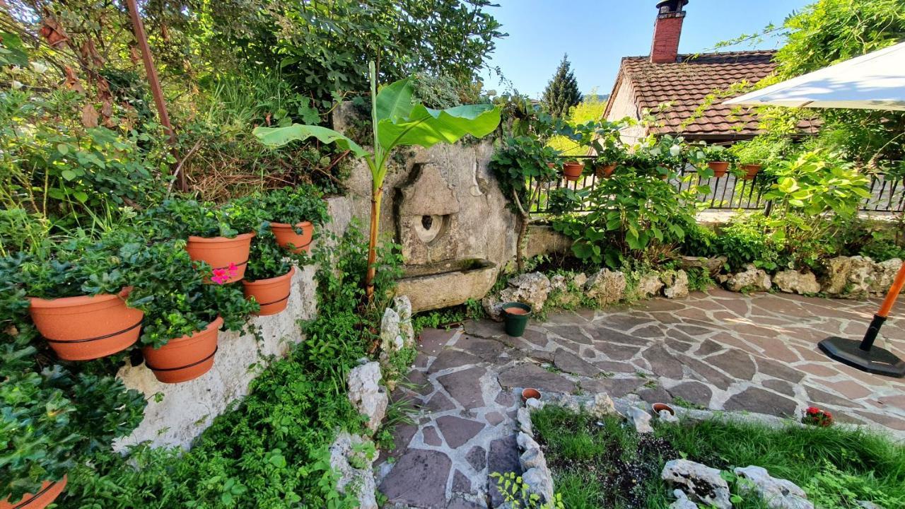 Hostal Ansonea Bera  Εξωτερικό φωτογραφία